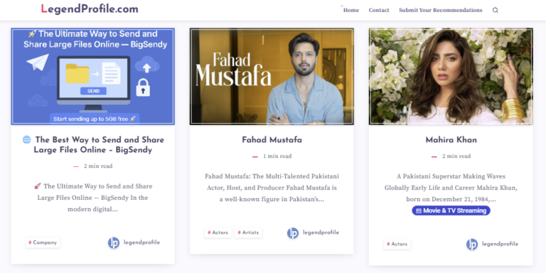 The Anatomy of Modern Fame: How Digital Biographies and Net Worth Analytics Shape Pop Culture